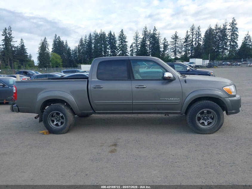 2006 TOYOTA TUNDRA VIN: 5TBDT481X6S505958