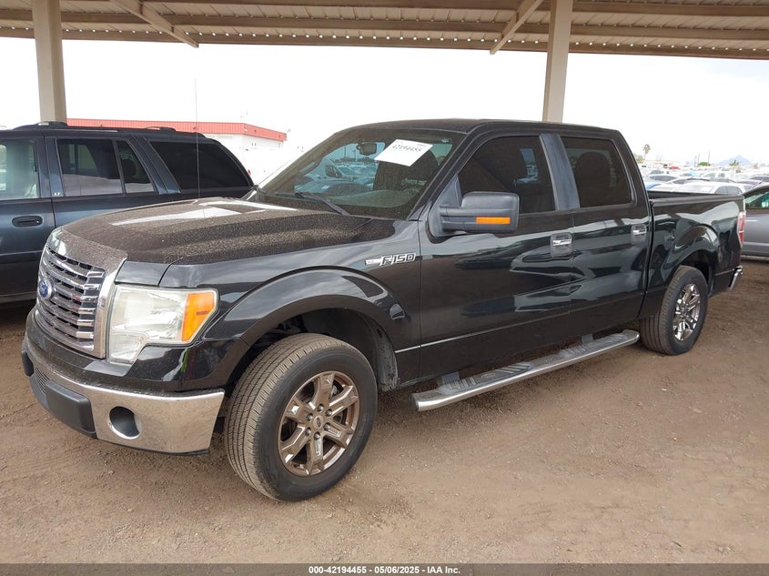 2010 FORD F-150 VIN: 1FTEW1C82AFB92693
