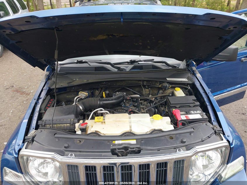 2009 JEEP LIBERTY VIN: 1J8GN58K19W539796