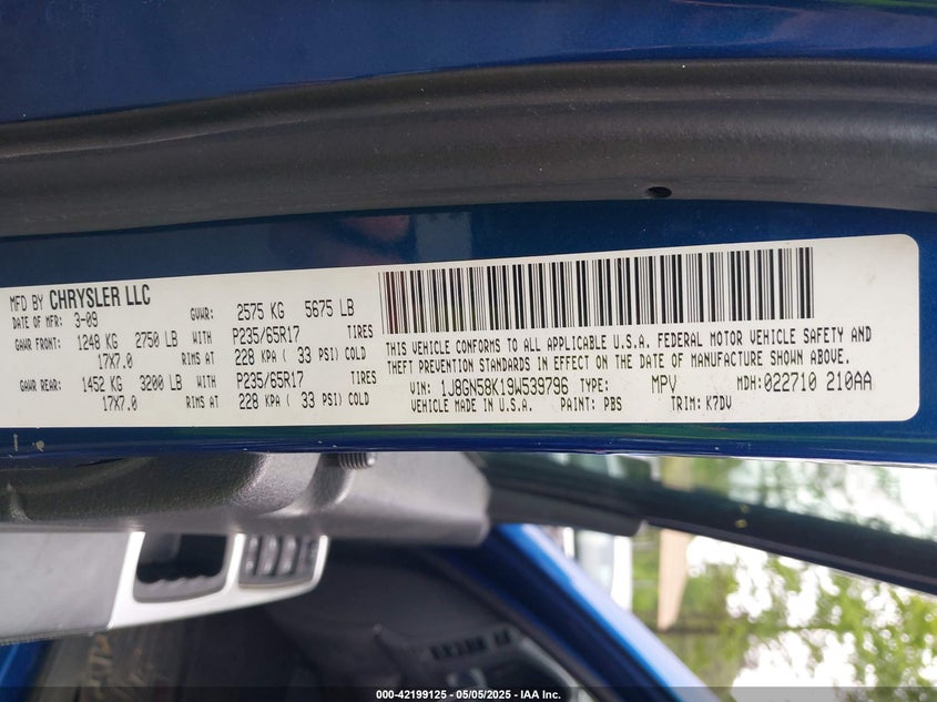 2009 JEEP LIBERTY VIN: 1J8GN58K19W539796