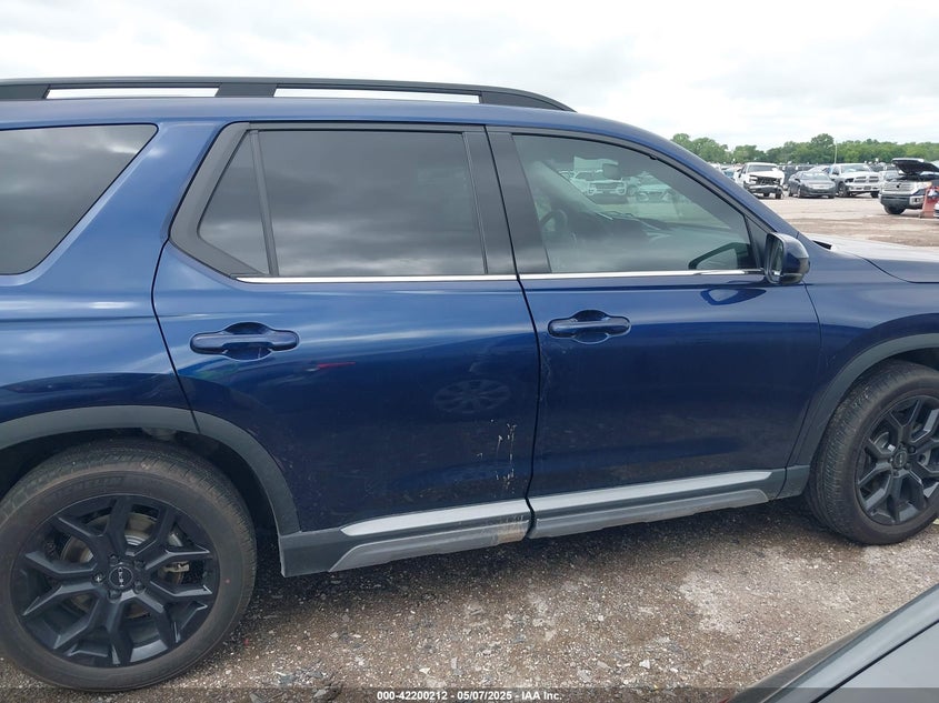 2025 HONDA PILOT VIN: 5FNYG1H87SB025397