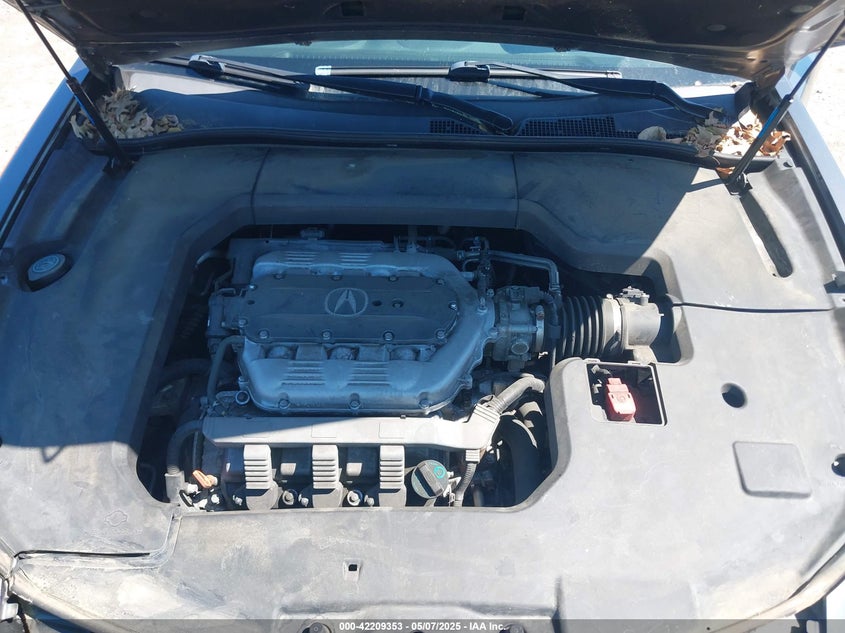 2009 ACURA TL VIN: 19UUA86539A021126