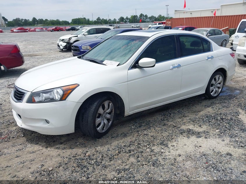 2010 HONDA ACCORD VIN: 5KBCP3F82AB011531