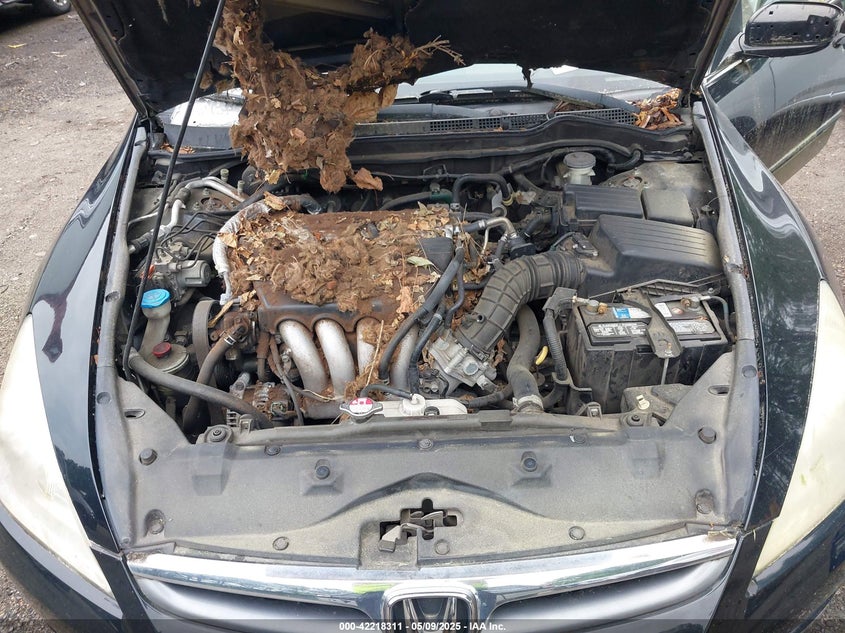 2007 HONDA ACCORD VIN: 1HGCM568X7A142499