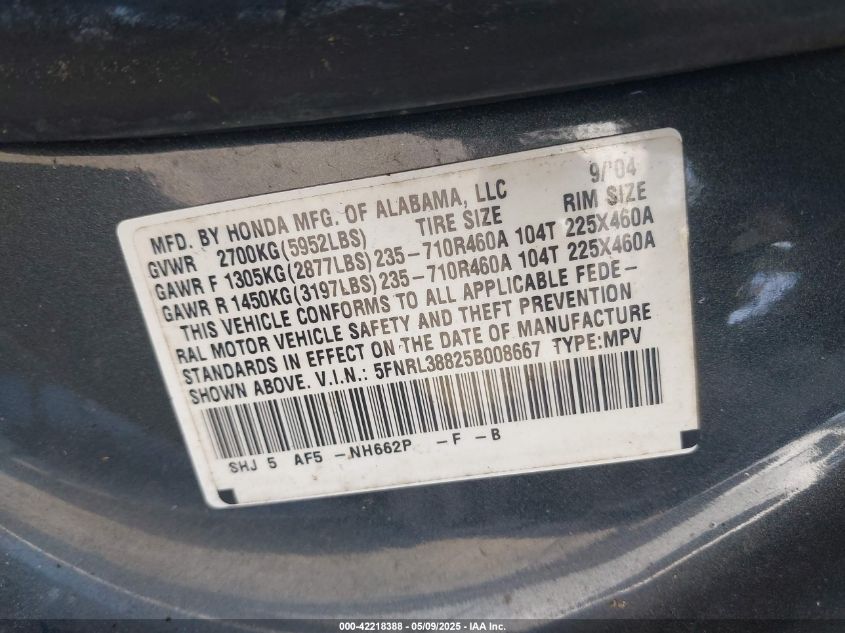 2005 Honda Odyssey Touring VIN: 5FNRL38825B008667 Lot: 42218388