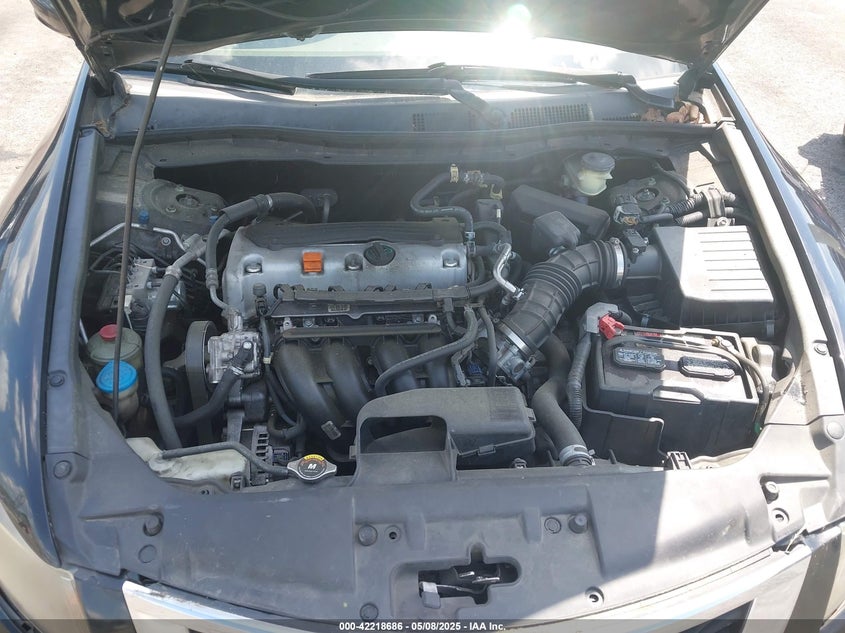2010 HONDA ACCORD VIN: 1HGCP2F37AA023469