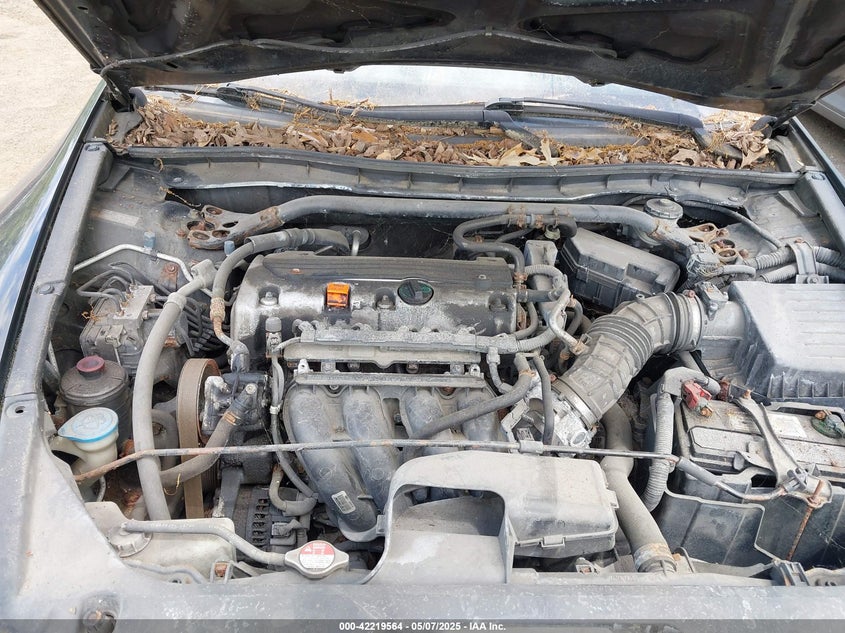 2010 HONDA ACCORD VIN: 1HGCS1B34AA000424