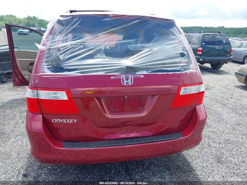 2006 Honda Odyssey Ex-L VIN: 5FNRL38746B411221 Lot: 42222493
