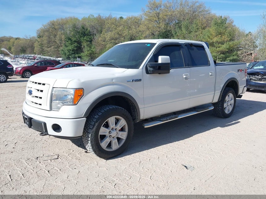 2009 FORD F-150 VIN: 1FTPW14V49FA06144