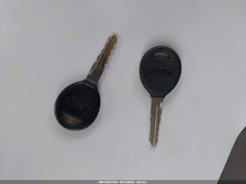 2004 Jeep Wrangler VIN: 1J4FA39F64P726711 Lot: 42227336