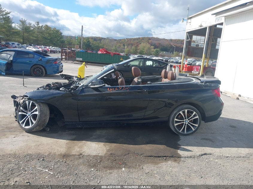 2017 BMW 230I xDrive VIN: WBA2M9C56HV717457 Lot: 42231305