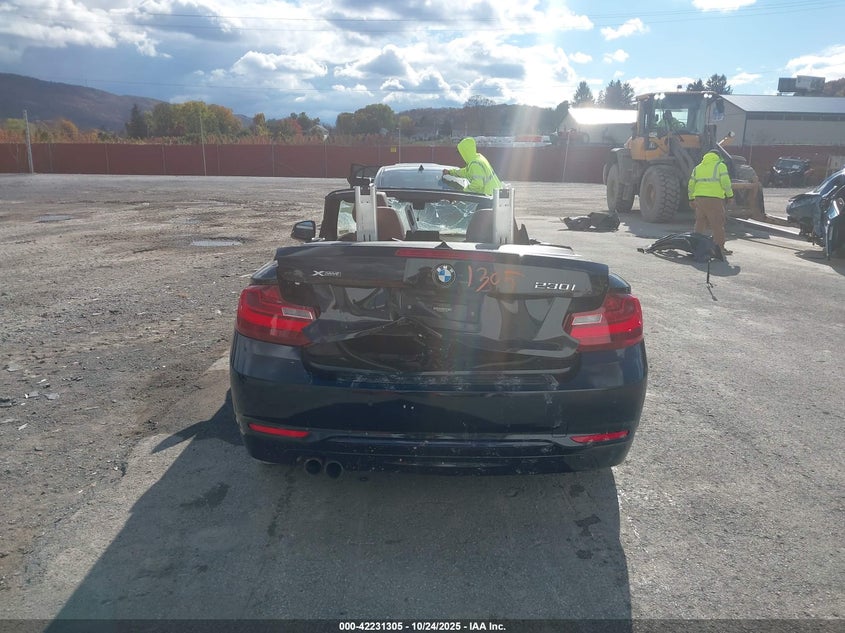 2017 BMW 230I xDrive VIN: WBA2M9C56HV717457 Lot: 42231305