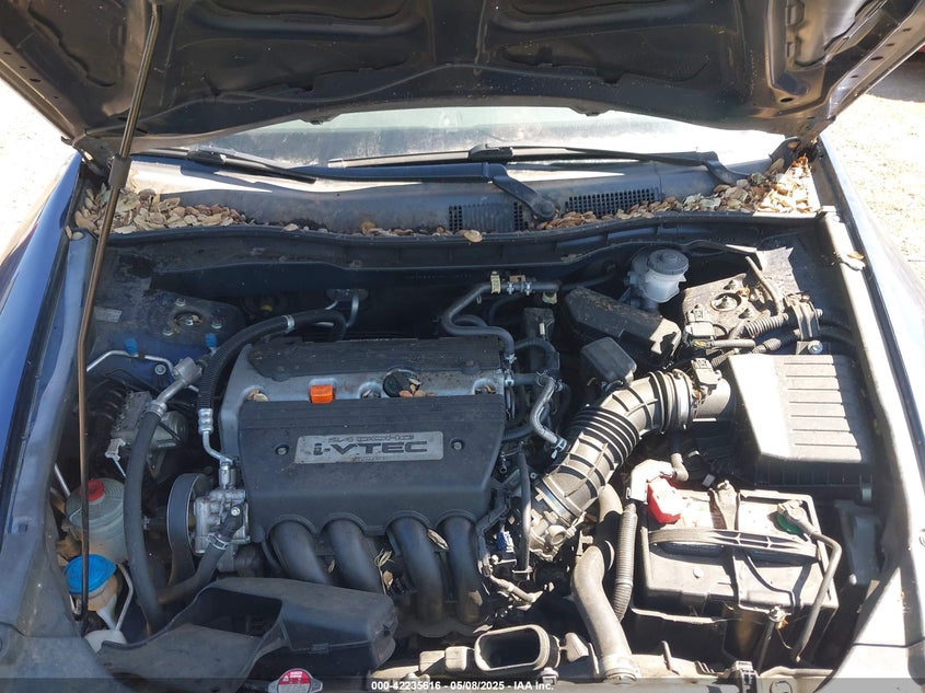 2009 HONDA ACCORD VIN: 1HGCP26319A148785