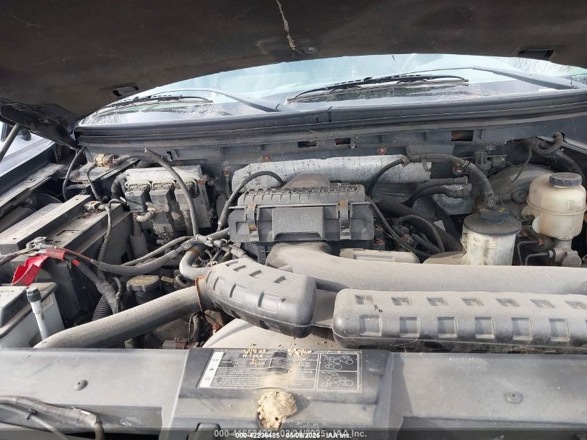 2008 Ford F-150 60Th Anniversary/Fx4/King Ranch/Lariat/Xlt VIN: 1FTPW14V08FA07290 Lot: 42236485