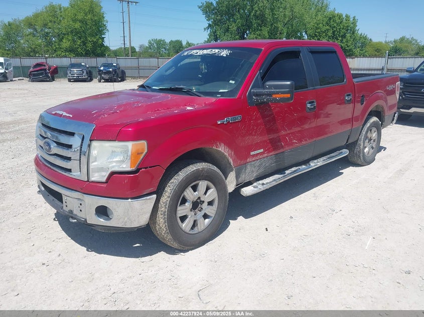 2011 FORD F-150 VIN: 1FTFW1ET9BFB00423