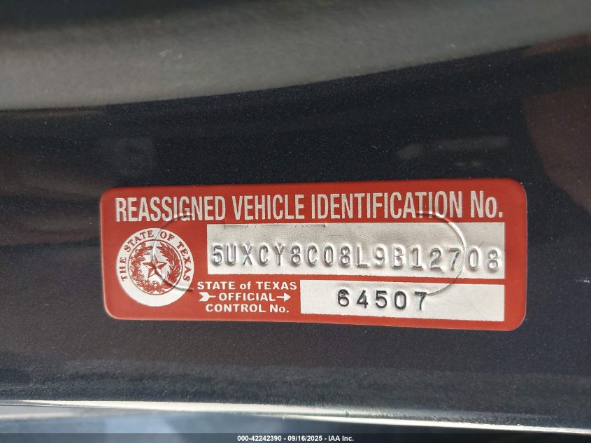 2020 BMW X6 xDrive40I VIN: 5UXCY6C07L9C02341 Lot: 42242390