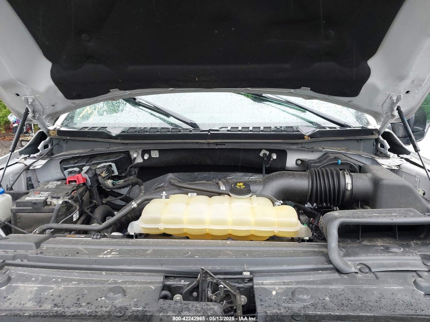 2019 FORD F150 VIN: 1FTEW1EP1KFA98133