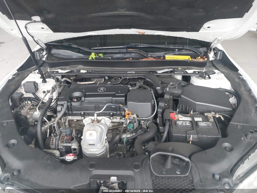 2016 ACURA TLX - 19UUB1F30GA008589