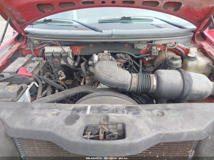 2006 FORD F150 VIN: 1FTRF12W66KB37213