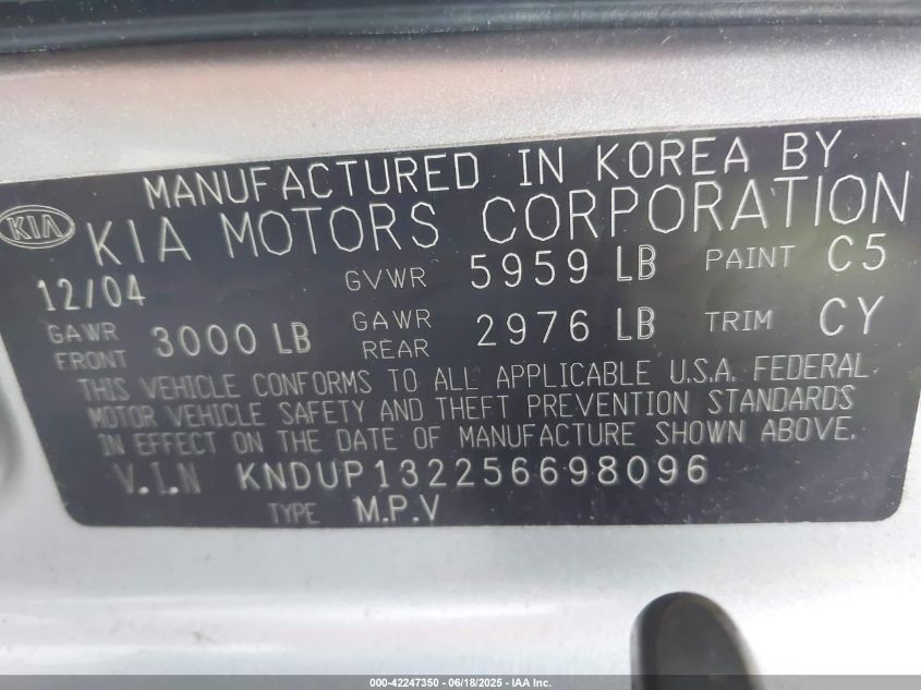 2005 Kia Sedona Ex/Lx VIN: KNDUP132256698096 Lot: 42247350