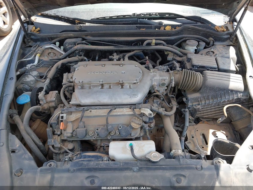 2007 HONDA ACCORD VIN: 1HGCM81637A002446