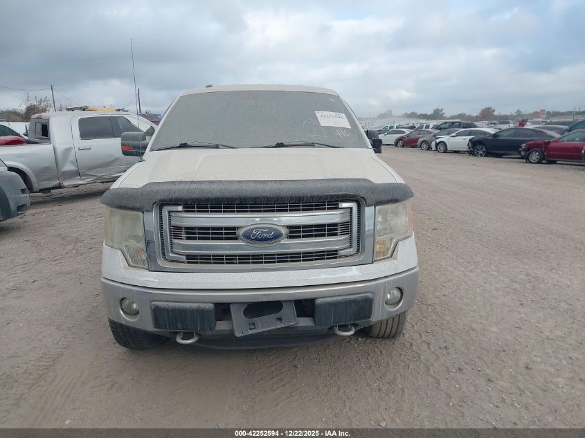 2013 Ford F-150 Xlt VIN: 1FTFX1EF1DFC14393 Lot: 42252594