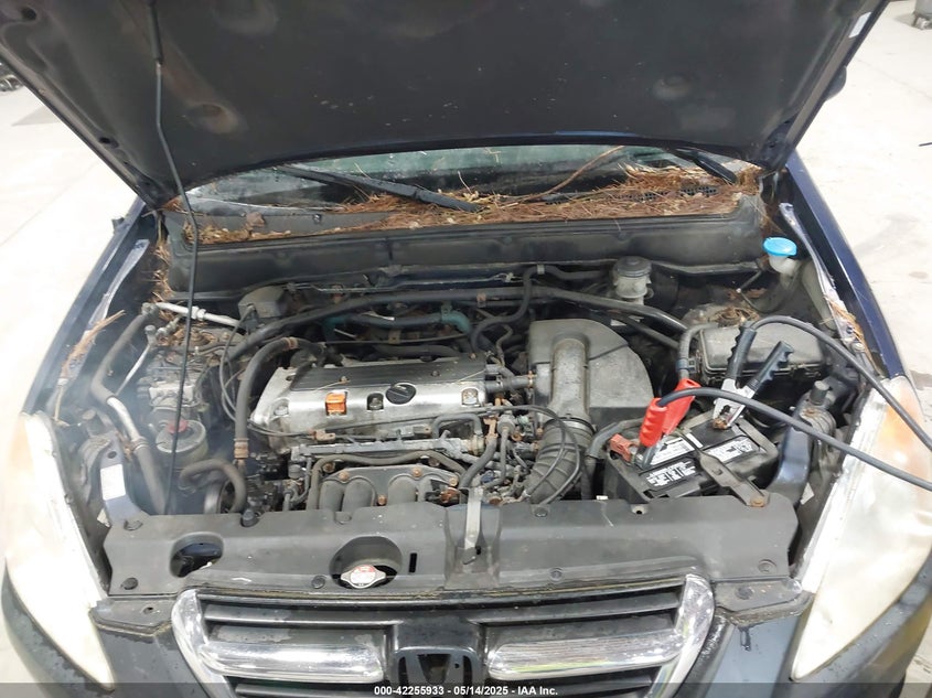 2003 Honda Cr-V Ex VIN: SHSRD78873U157750 Lot: 42255933