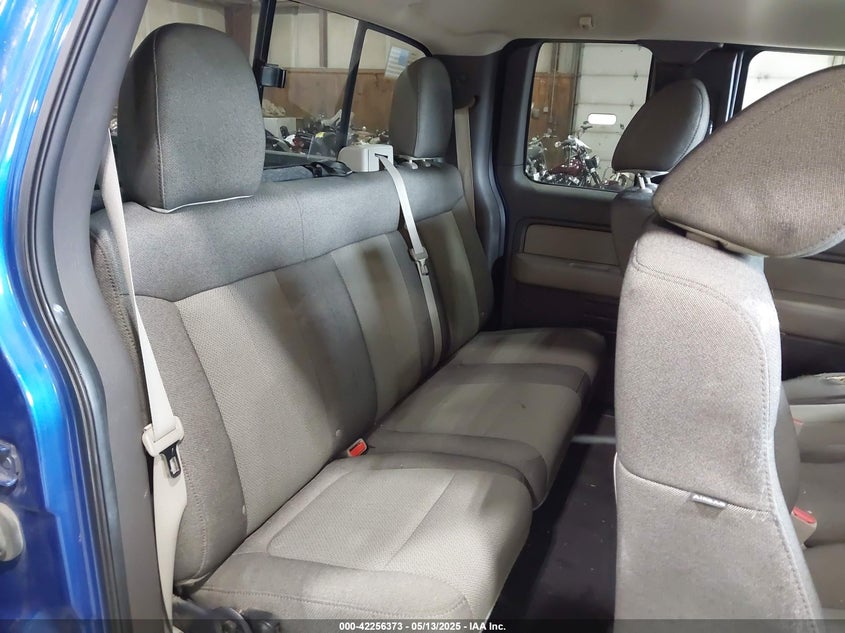 2010 FORD F-150 VIN: 1FTEX1E81AFB43768