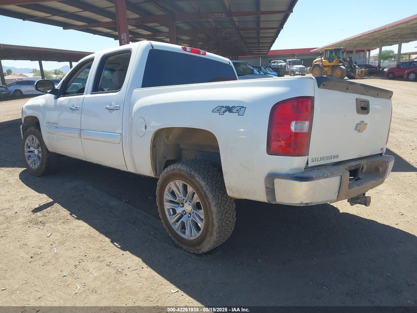 2009 CHEVROLET SILVERADO 1500 VIN: 3GCEK33M39G161614