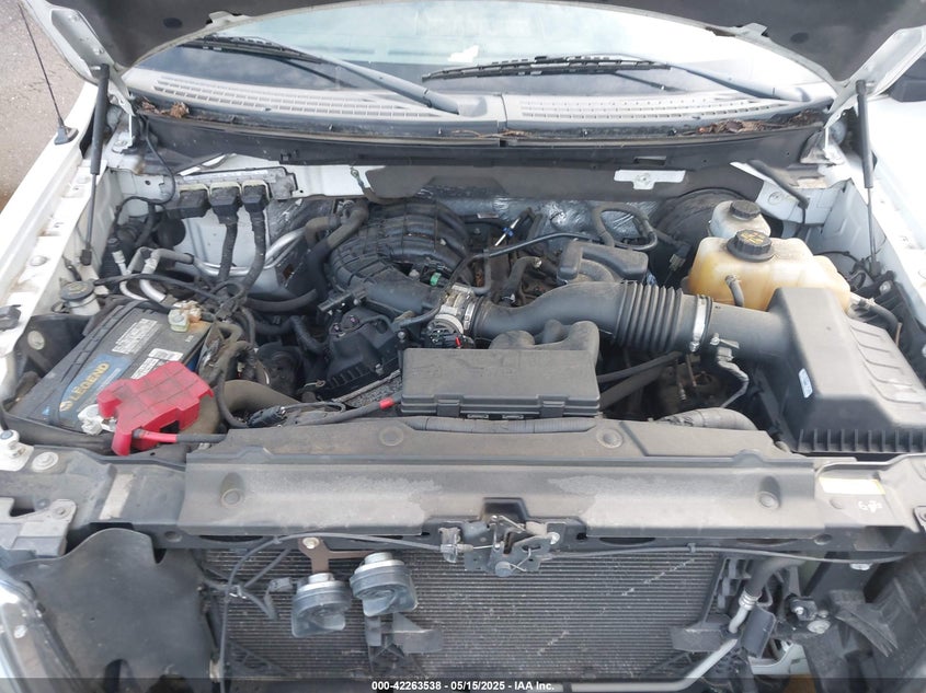 2013 FORD F-150 VIN: 1FTMF1CM1DKG03859