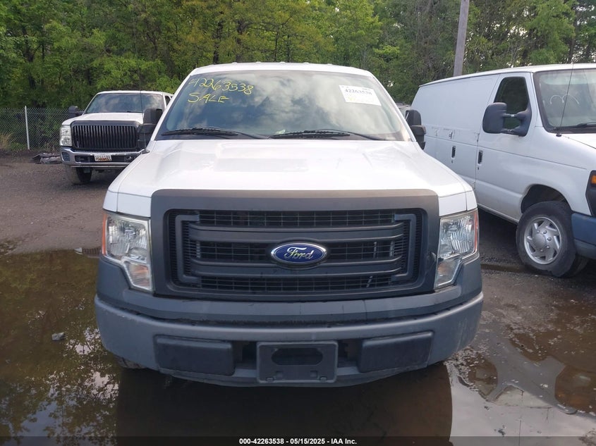 2013 FORD F-150 VIN: 1FTMF1CM1DKG03859
