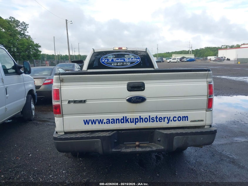 2013 FORD F-150 VIN: 1FTMF1CM1DKG03859