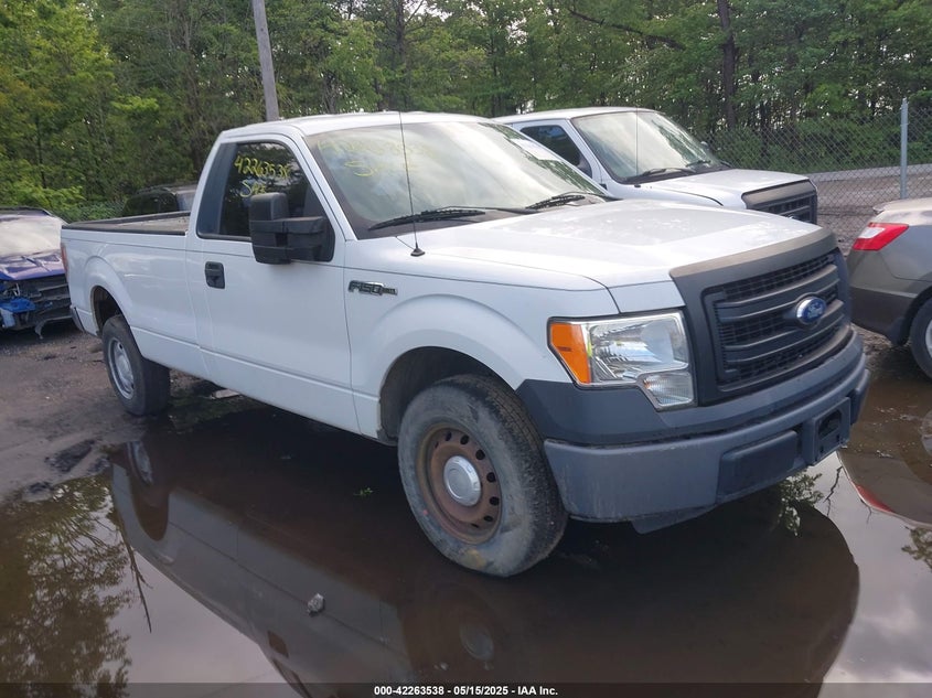 2013 FORD F-150 VIN: 1FTMF1CM1DKG03859