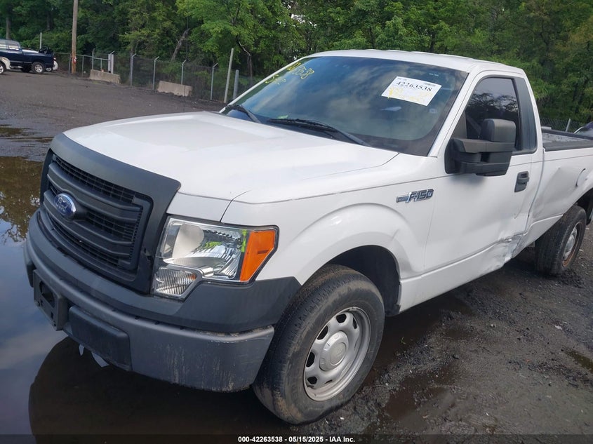 2013 FORD F-150 VIN: 1FTMF1CM1DKG03859