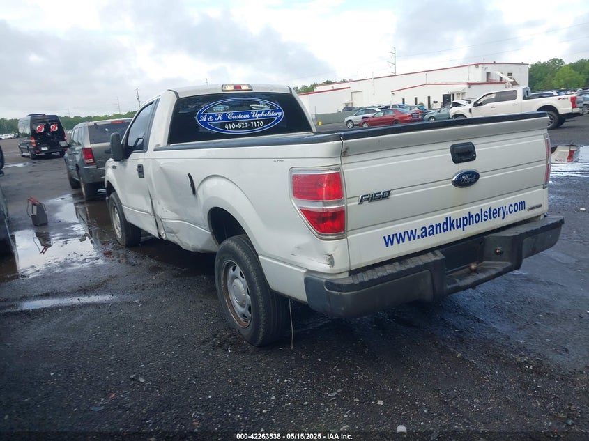 2013 FORD F-150 VIN: 1FTMF1CM1DKG03859