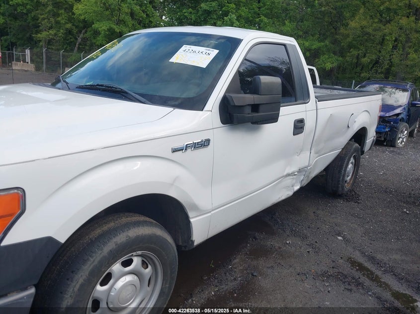 2013 FORD F-150 VIN: 1FTMF1CM1DKG03859