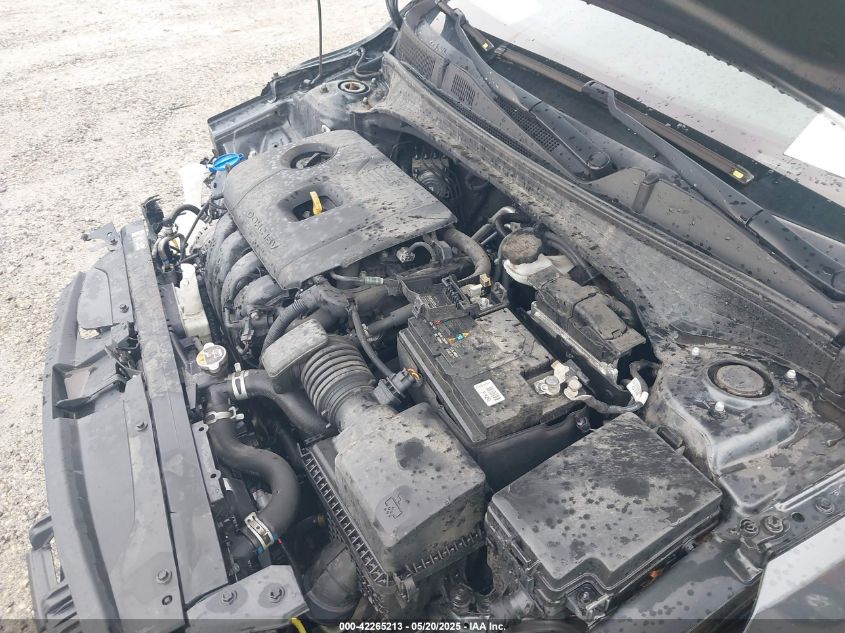 2019 Kia Forte Lxs VIN: 3KPF24AD6KE125494 Lot: 42265213