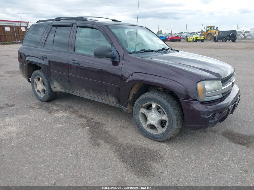 2008 CHEVROLET TRAILBLAZER VIN: 1GNDT13S982236424