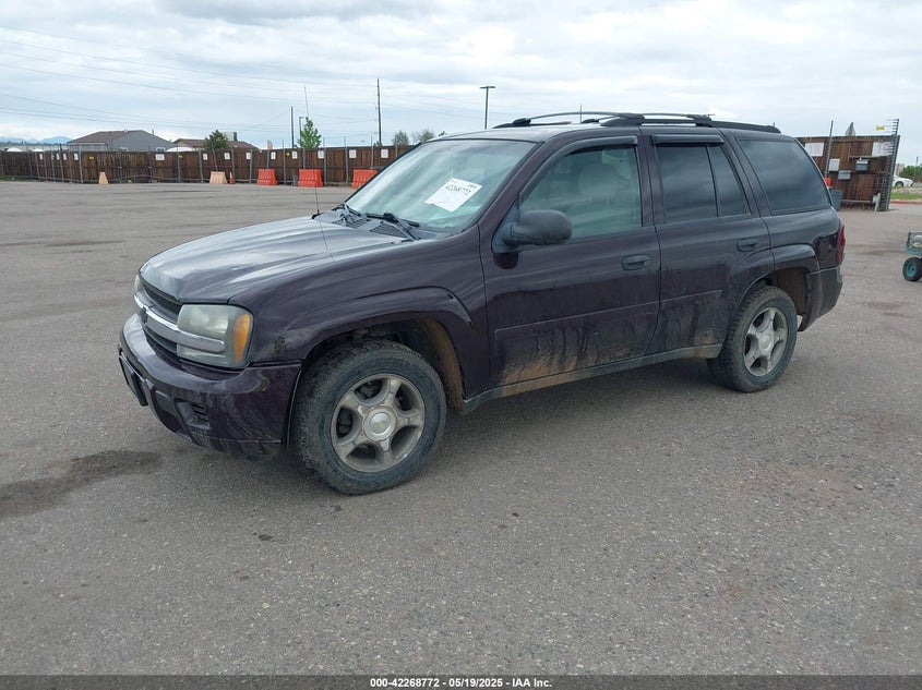 2008 CHEVROLET TRAILBLAZER VIN: 1GNDT13S982236424