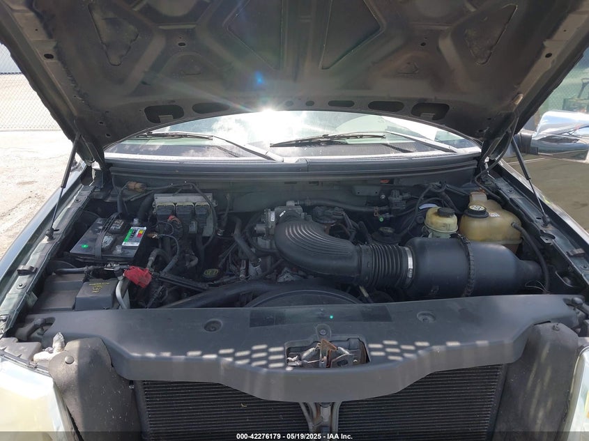 2006 FORD F-150 VIN: 1FTRX12W56NA49409