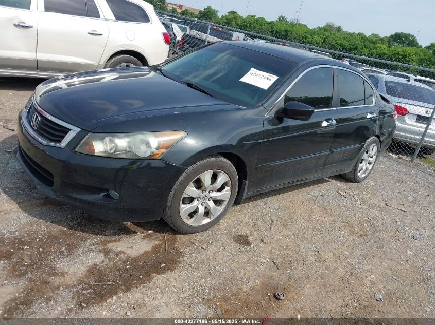 2009 Honda Accord 3.5 Ex-L VIN: 5KBCP36899B501010 Lot: 42277186