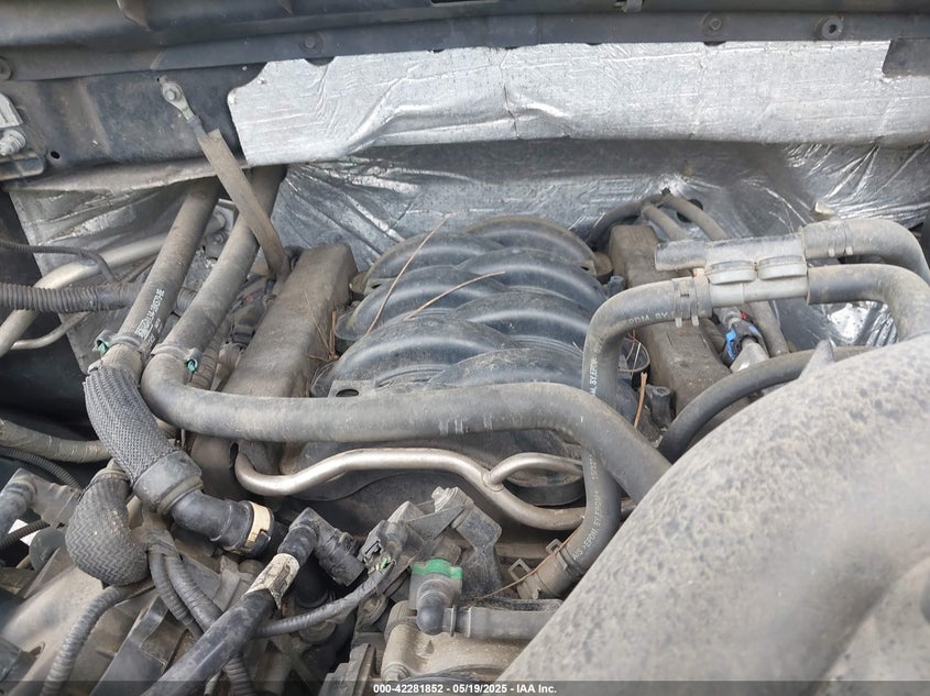 2013 FORD F-150 VIN: 1FTFW1EF6DFA42056