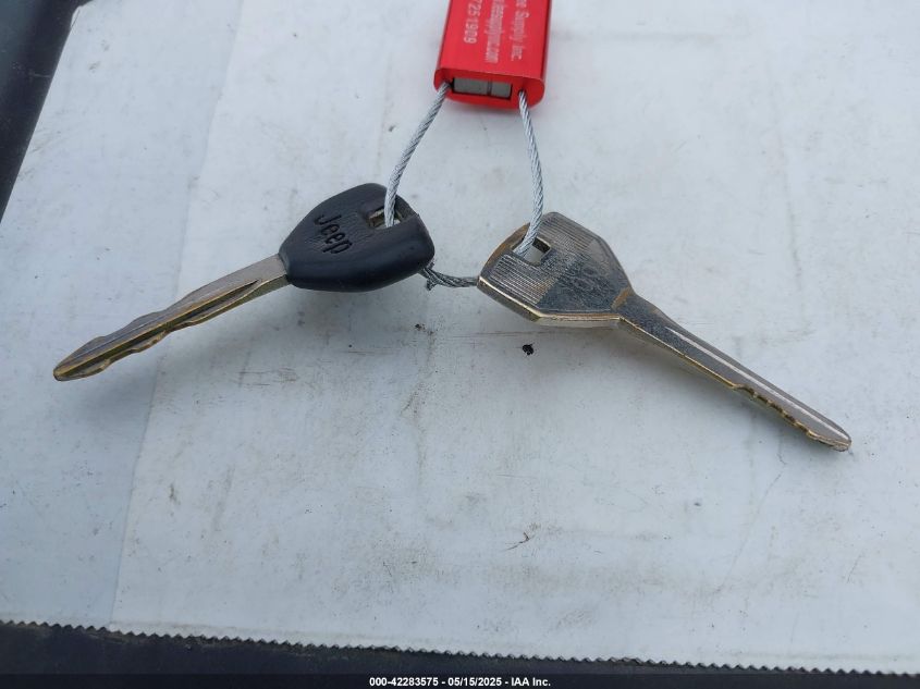 1994 Jeep Wrangler VIN: 1J4EY29S7PPA74769 Lot: 42283575