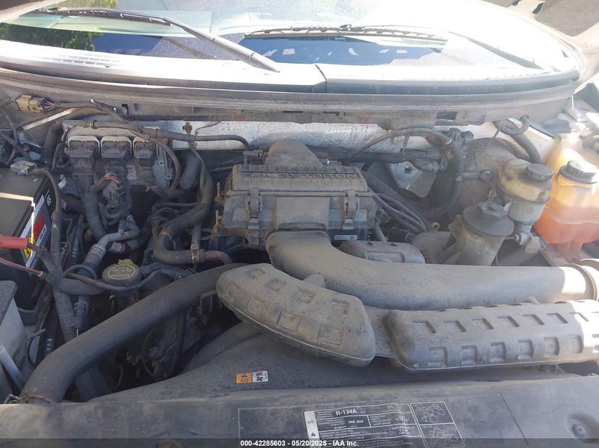 2006 FORD F-150 VIN: 1FTPX14586NB60161