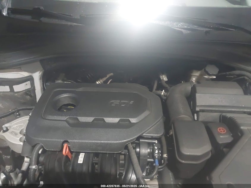 2020 HYUNDAI SANTA FE VIN: 5NMS3CAD6LH234229