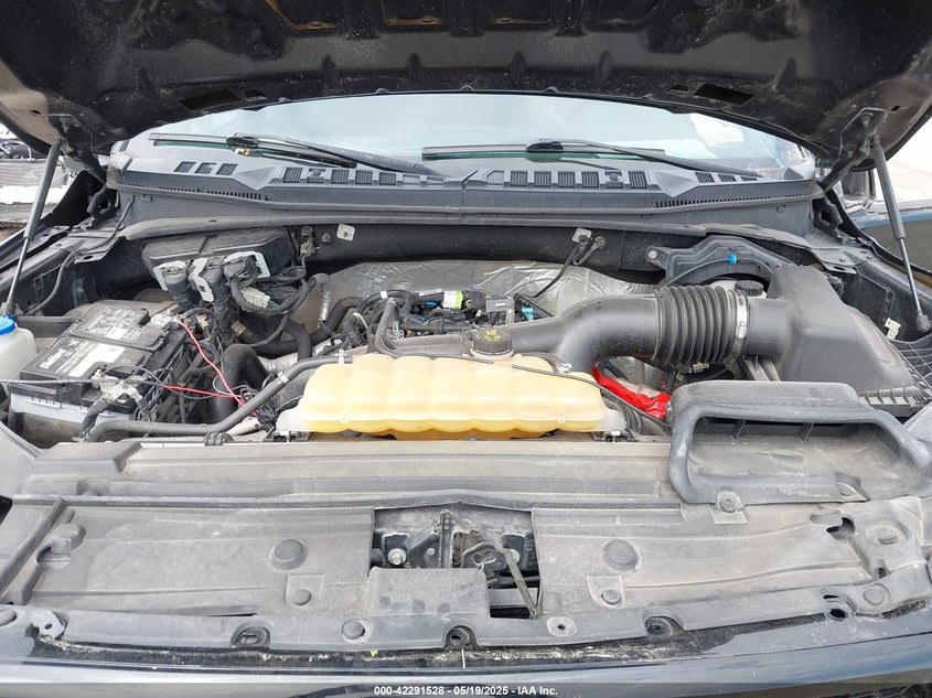 2019 FORD F-150 VIN: 1FTEW1EP3KKC32342