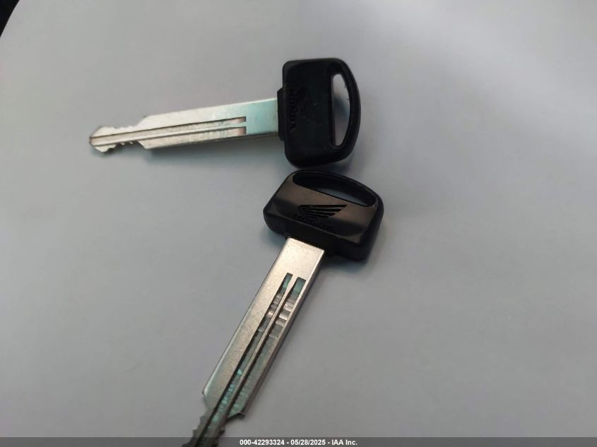 2024 Honda Nps50 VIN: JH2AF5817RK200704 Lot: 42293324