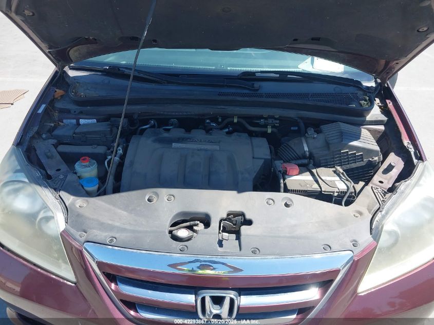 2007 Honda Odyssey Ex-L VIN: 5FNRL38717B113629 Lot: 42293867