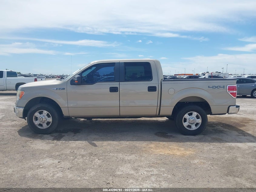 2009 FORD F-150 VIN: 1FTPW14V49FA24031