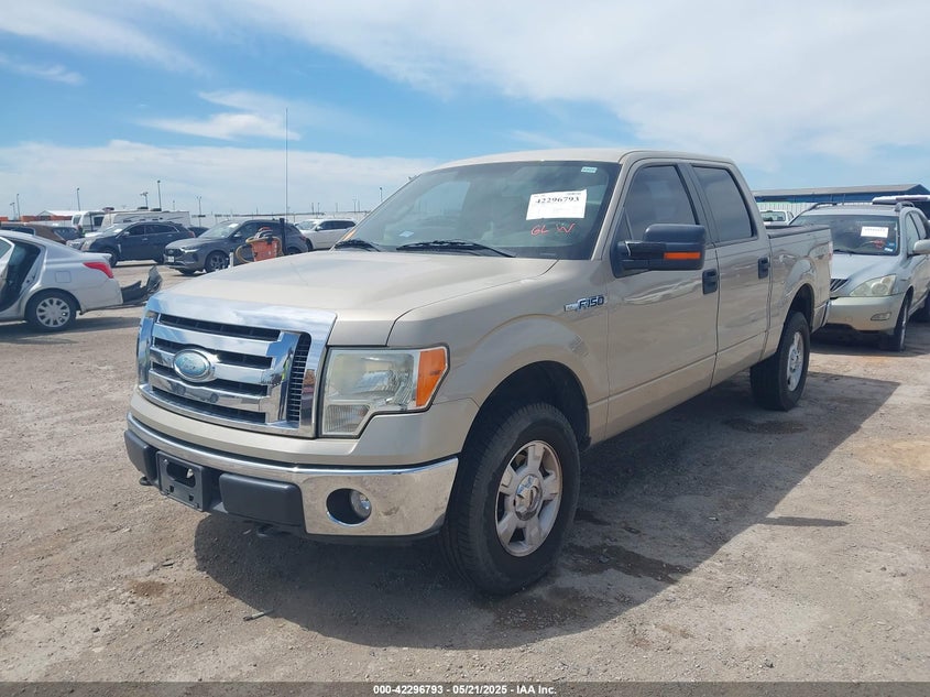 2009 FORD F-150 VIN: 1FTPW14V49FA24031